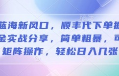 蓝海新风口，顺丰代下单掘金实战分享，简单粗暴，可矩阵操作，轻松日入几张