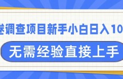 问卷调查项目，不需要经验小白上手无压力，轻松日入100+