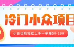 冷门小众项目，营业执照年审，小白也能轻松上手一单挣50-100