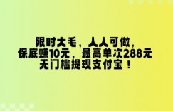 限时大毛，人人可做，保底挣10元，最高单次288元，无门槛提现支付宝！