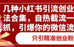 几种小红书引流创业粉方法合集，自热截流一手抓，引爆你的微信流量