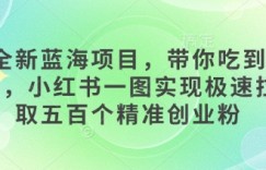 全新蓝海项目，带你吃到饱，小红书一图实现极速拉取五百个精准创业粉