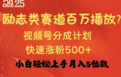 励志类赛道也能百万播放，快速涨粉500+视频号变现月入过W