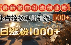 最新微信引流创业粉，小白单日轻松引流500+，日涨粉1000+