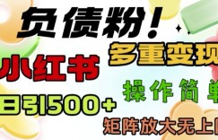 2月最新小红书日引500+负债粉，多重变现轻松过W，矩阵放大无上限