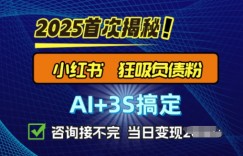 2025引流天花板：最新小红书狂暴负债粉思路，咨询接不断，当日入多张