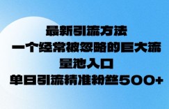 最新引流方法，一个经常被忽略的巨大流量池入口，单日精准引流粉丝500