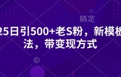 2025日引500+老S粉，新模板玩法，带变现方式