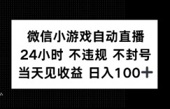 微信小游戏自动直播，24小时直播不违规 不封号，当天见收益 日入100+